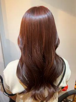 【学生限定価格🎀】イルミナカラー（卵殻膜TR付💭ྀི）