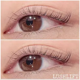 アイシャンプー付きラッシュリフト💛汚れやダニを取り除きまつ毛を80度に立ち上げます！