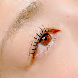 ラッシュリフト