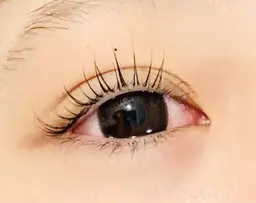 まつ毛パーマモデル🇰🇷ブラックティントトリートメント付き