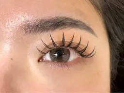 バインドロック　80束