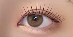 🎀期間限定🎀パリジェンヌリフトラァシュ/美容液付き