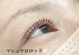 【2/2.8.9.11限定】まつ毛パーマ コーティング付き🌟