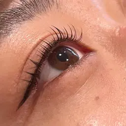 💫12月限定💫 しっかり上がるまつ毛パーマ🖤ྀི