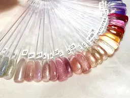 マグネット or フラッシュ