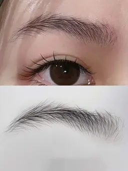 【激レア女性モデル募集】自眉フサフサの人だけ‼️ リール掲載用 眉毛デザイン ※30歳以上不可 自己処理してる眉も不可