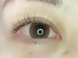 3Dボリュームラッシュ100束迄<オフ込み>ブラウンに変更+1100円で可能☆LED変更+1100円