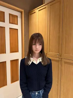 レイヤーカットモデル