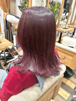 【✨️ 今だけ何度でも使える✨️】似合わせカット＋艶カラー＋卵殻膜TR