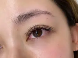 10/12限 3Dレイヤー80束