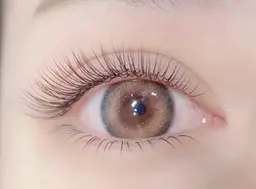 🌱超軽量🌸フラットラッシュ６0本3200オフ別途550。付け足しOK，2回目～3500