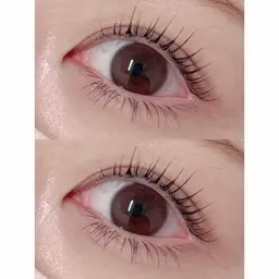 🌼[再来/エクステオフ無し] パリジェンヌラッシュリフト+マスカラパーマ