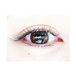 【新規★下まつげエクステつけ放題/60本保証/60分以内】中顔面短縮度UP♪撥水コーティング付