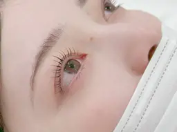 上下メーテルラッシュリフト＋コーティング 🫧