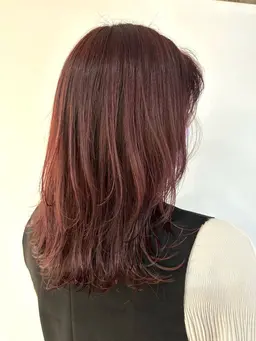 【🩷平日限定30%off🩷】レディースカット