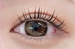 限定価格パリジェンヌ🖤🩶