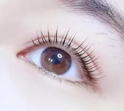 パリジェンヌ上+したまつ毛30本お得セット