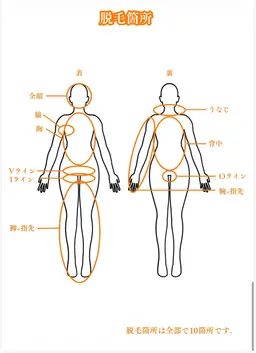 1部位脱毛(脚orピップor腕or背中orお腹+胸)