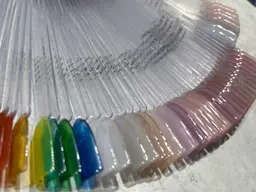 【オフあり】チップ長さ出しワンカラー