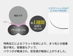 【🌹minimo価格🌹】フラットラッシュ100本