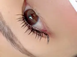 フラットラッシュ１２０本orダブルフラット１２０本