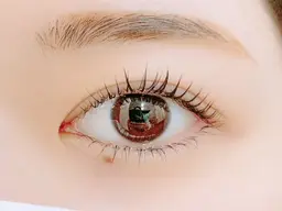 LEDフラットラッシュ120本オフ込み