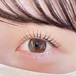 【急募2/4 11時】上まつげラッシュリフト