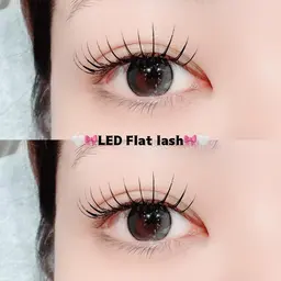 💌🐩【フラットラッシュ最低保証80本モデルさん募集】⚠️付け足し可能/オフ不可