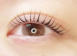 【初回TR付き🌷】パリジェンヌラッシュリフト+コーティング🌷【リピーター様+500円】