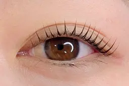 1/21🩵上まつげパーマ+高濃度グロストリートメントつき♡￥4400