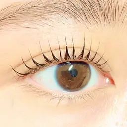 【人気ＮＯ.1】ラッシュリフト上(トリートメント付き)