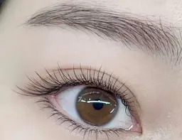 人気NO．1☆フラットマットラッシュ120本+アイシャンプー+コーティング