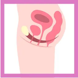 骨盤底筋を効率良く筋トレ♪