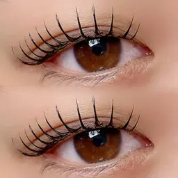 【フラットラッシュ】100​〜​120本⚠️必ず詳細をご覧下さい