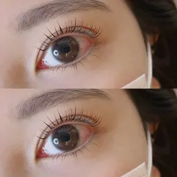 【逆さまつげもお悩み解消🫰✨】似合わせ上下まつげパーマ《minimo様限定》