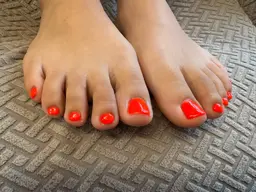 ワンカラー（オフあり、オフなし🙆）