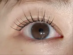 🧸8/22 限定🧸まつ毛パーマ＋ケラチントリートメント🎀