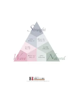 骨格スタイル分析（9タイプ）