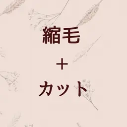 【王道】髪質改善縮毛矯正＋カット