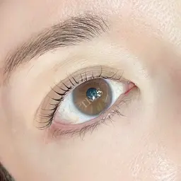 美トレスラッシュリフト コーティング付