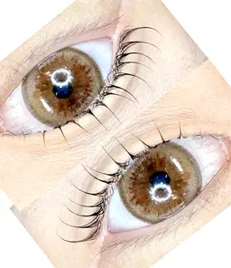 【限定価格】似合わせラッシュリフトモデル様募集　ビフォーアフターお写真撮らせてください！ロッド豊富に取り揃えております♡