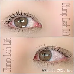 【特別クーポン🌼】プランプラッシュリフト