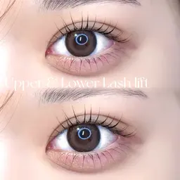 【ご新規様価格🌟】🎀上下パリジェンヌorラッシュリフト🎀+コーティング仕上げ🪄    ¥7700