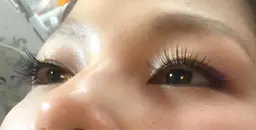 💫新規minimo限定つけ放題♪(最高級セーブル)