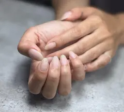 全オフ、ケア付プラン