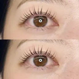 ⋆⸜  韓国風まつげパーマ  ⸝⋆ ピーナッツロッド🥜✨¥5980