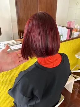 🎺カット＋ブリーチ無しダブルカラー＋トリートメント🎺高明度・高発色を求めるならこちら💁🏼【初回​〜​3回目まで】