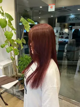 【🌀ミニモ限定🌀】🐥ブリーチなしWカラー🐥　　🚨必ず詳細ご覧下さい🚨