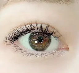 🍩ボリュームラッシュ 60束🍩