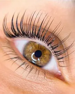 【人気セット★】  上下まつげパーマ 華やかぱっちり仕上げ